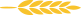 Rice Icon